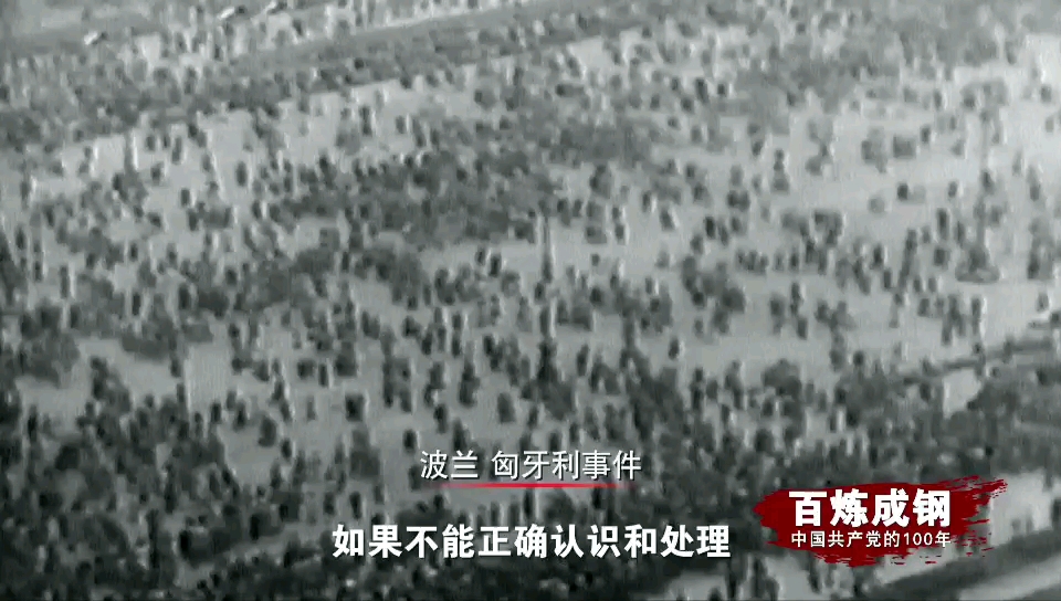 正确处理人民内部矛盾问题为何会引起党中央的重视？ #百炼成钢 #建党100周年