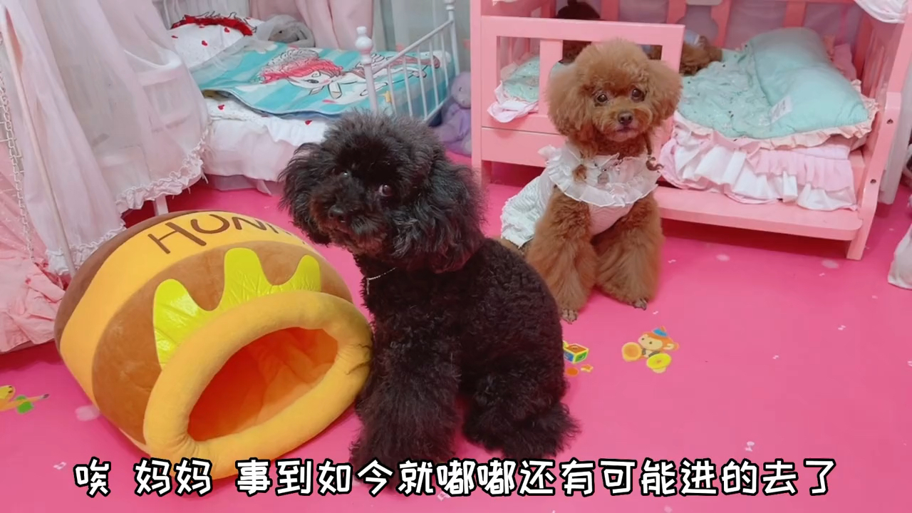 就因为这个大帽子，嘟嘟居然把艾米打哭了