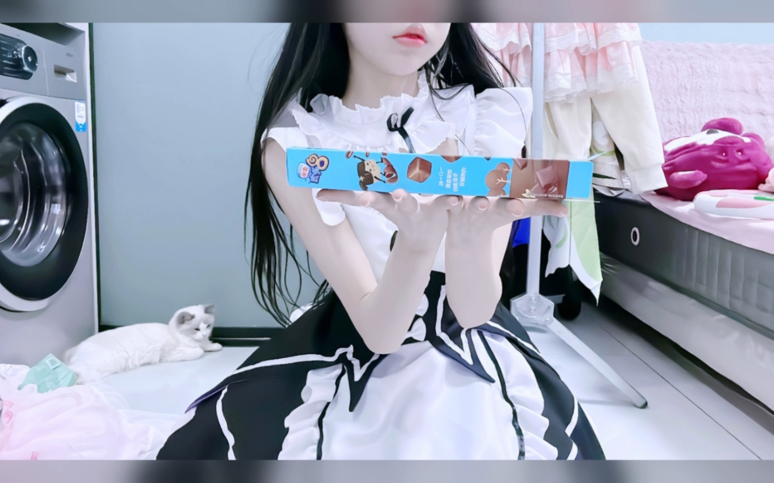 [Softie Cat has become an adult] Video loading, check out the surprises quickly!