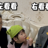 大人才做选择，小朋友是“我都要