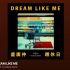 小隊長-dream like me