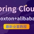 【白嫖福利】SpringCloud微服务全套教程|框架开发精讲教学(大牛讲授spring cloud)轻松掌握微服务开发