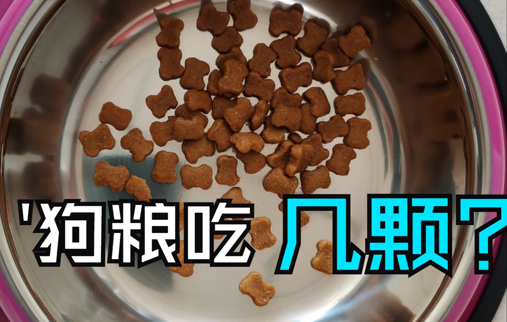 狗狗一天应该吃多少克狗粮？主人只需掌握这3点，没必要精确到克