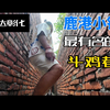 大陆兄弟俩第一次到彰化，逛鹿港小镇斗鸡巷，路遇观众送彰化特产