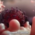 【新冠病毒】新冠肺炎为什么容易感染？一个视频让你了解新冠病毒的感染原因以及传播方式 如何免受感染