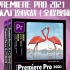 Pr Pro2021从入门到实战全程视频版 配套视频