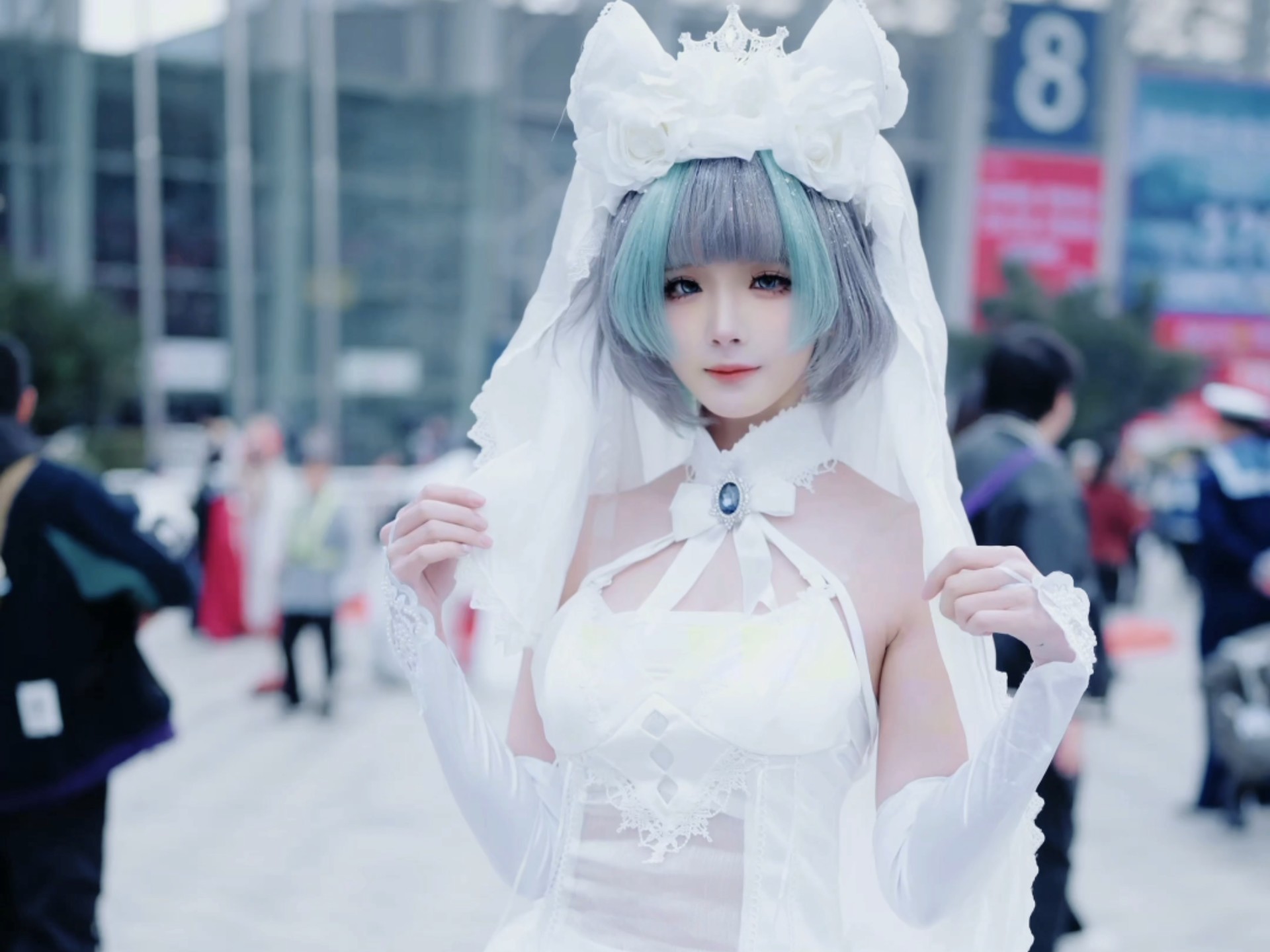 Who's lost their cat?