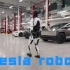 Tesla robots