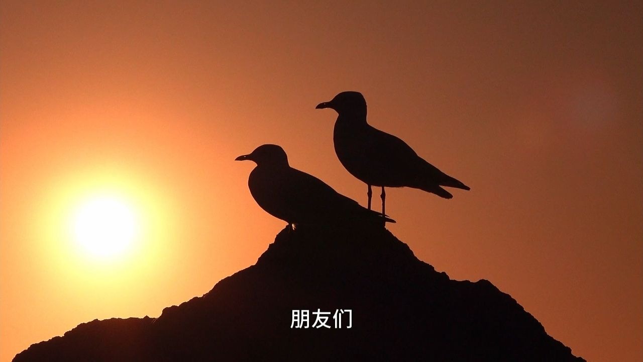 如何判断自己是否受困于人生剧情中？如果受困，我们又该怎样出离呢？