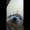 QE的那点B事儿