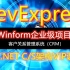 Winform企业级框架DevExpress课程(C#/.Net)