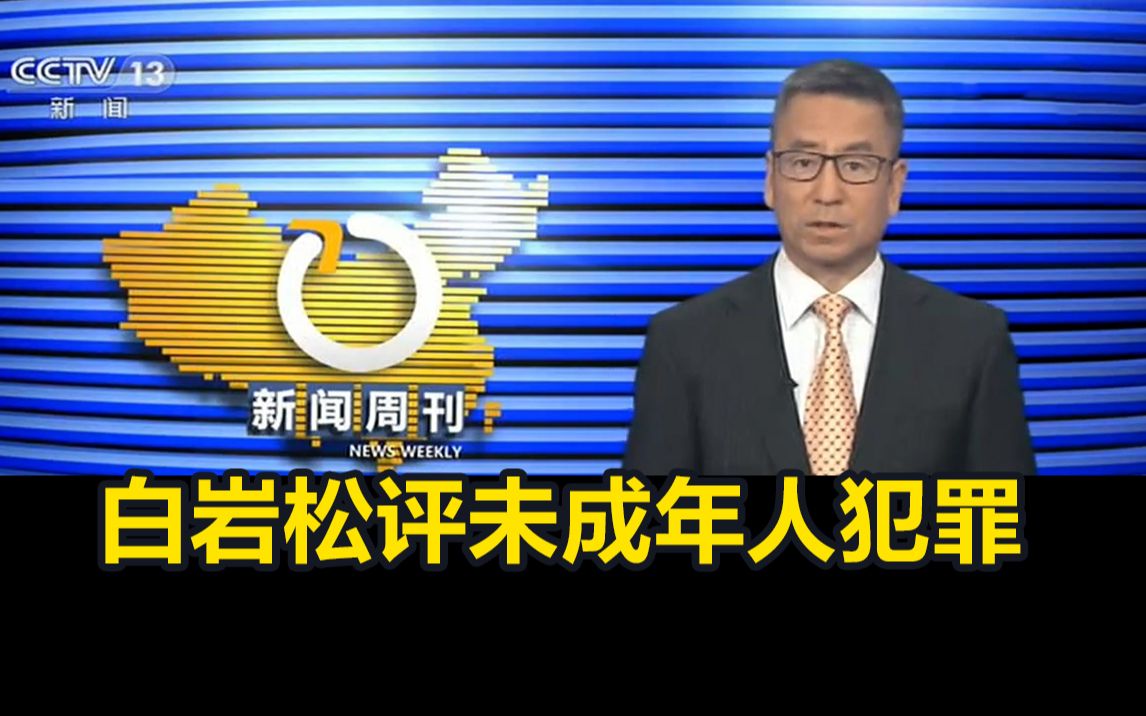 白岩松评未成年人犯罪：照亮“隐秘的角落”