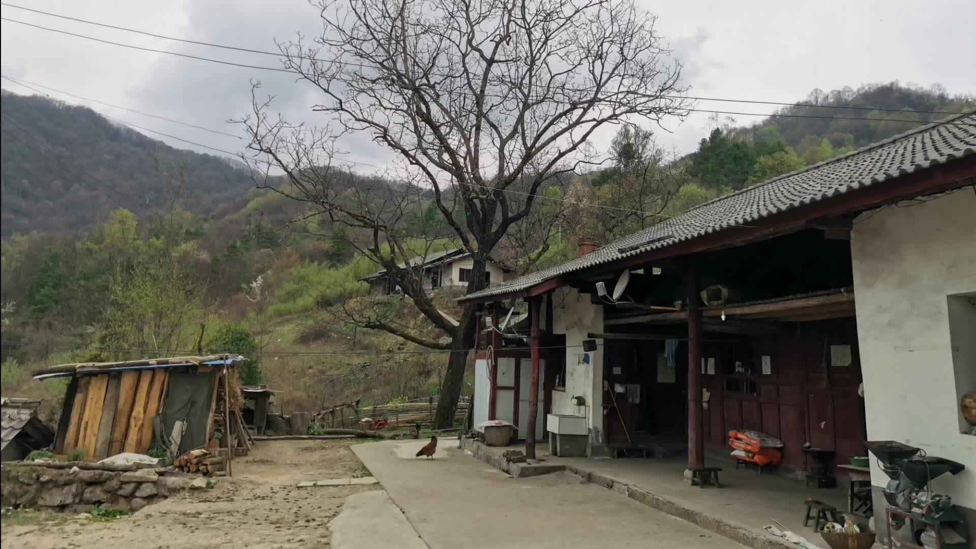 再访秦岭深处五户人家小村落，只剩老人坚守大山，以后注定消失