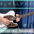 【凛として時雨】アレキシサイミアスペア (心理测量者PROVIDENCE OP) - Guitar Cover by u