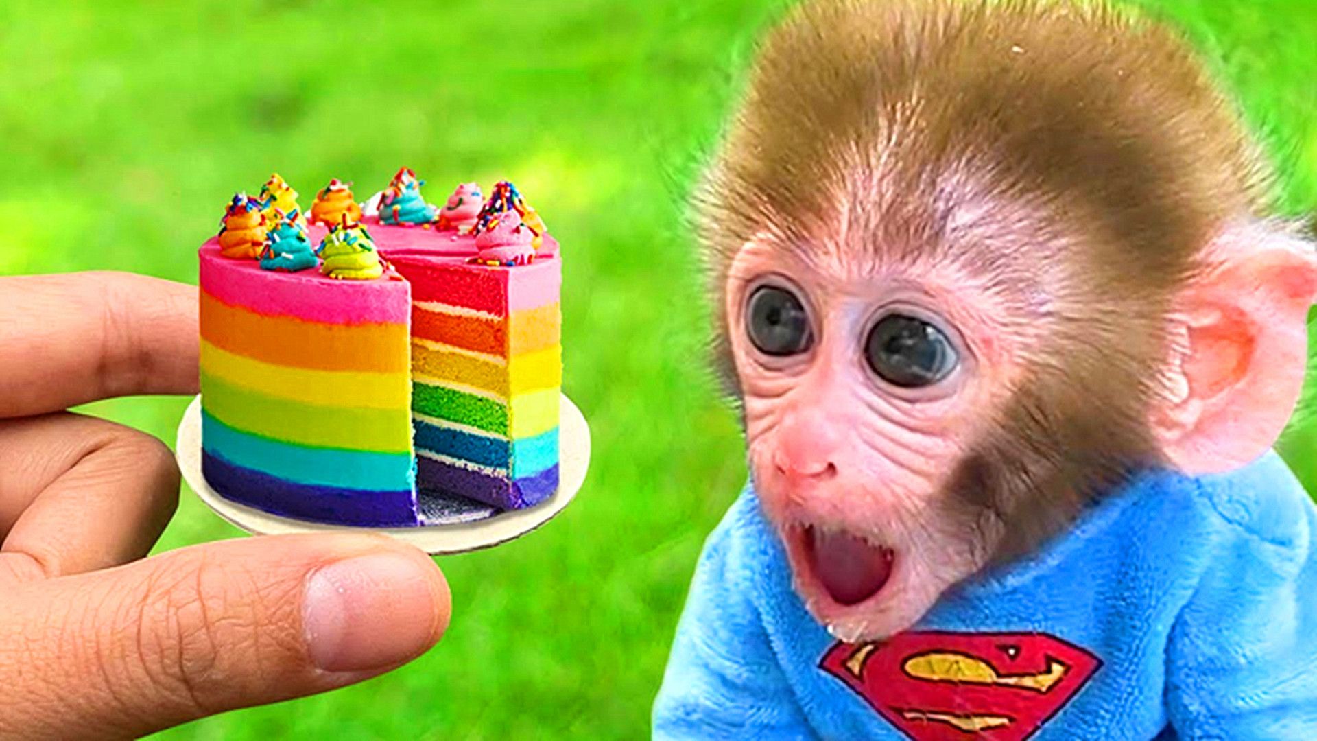 寶寶也能吃生日蛋糕！K.cookie吸睛度百分百猴子造型饅頭蛋糕 @來飽寶家ba