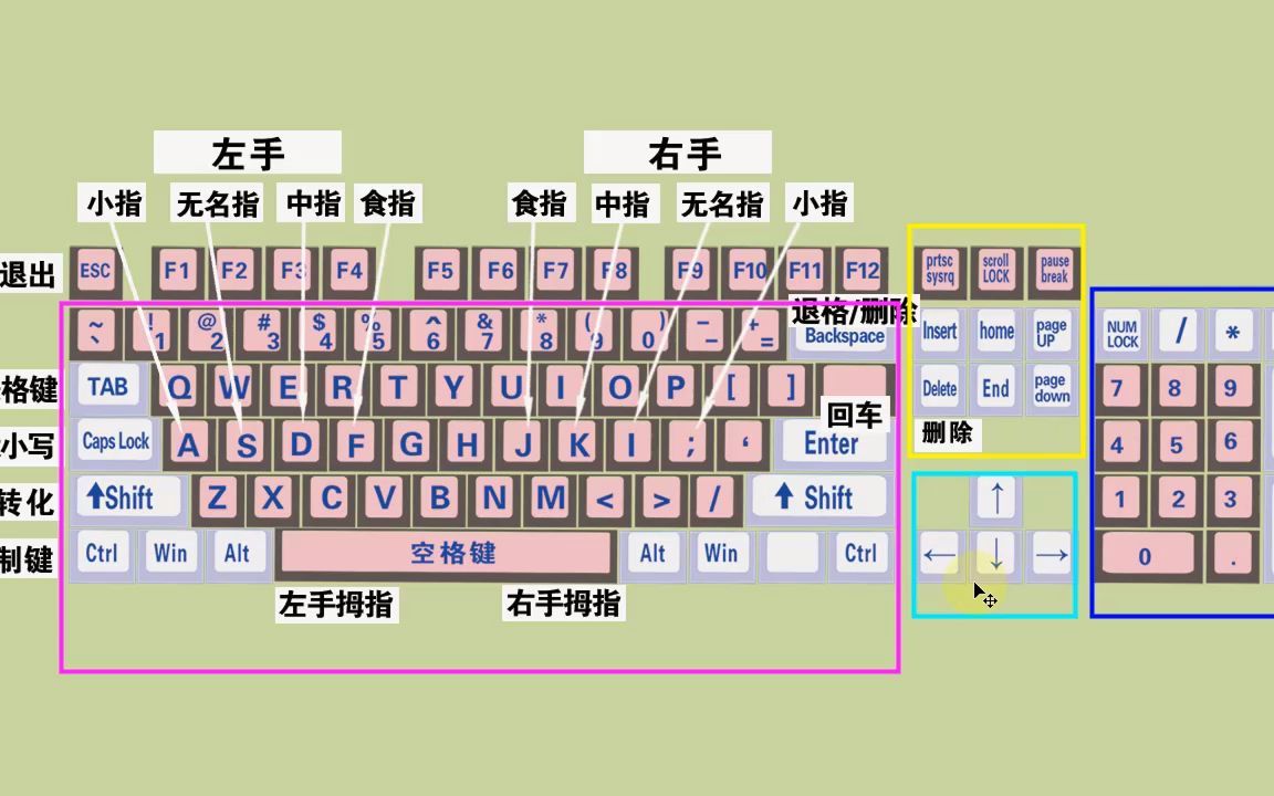 零基础电脑知识,掌握键盘标准指法,打字速度和准确率都可以提高