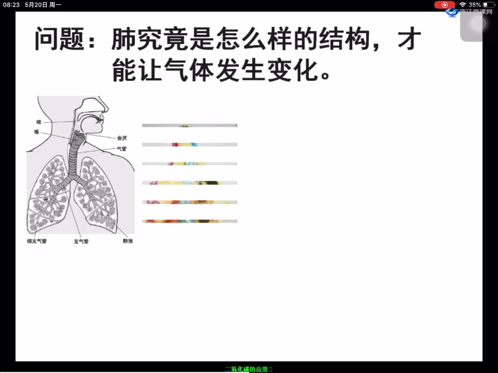 s49初中科学八年级微课程开发s8 浙江金华应天黄埔哔哩哔哩