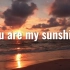 “每次想你的时候都会哼起这首歌”【you are my sunshine】请不要带走我的阳光