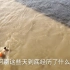 用数据告诉你，河南郑州洪灾到底多严重，无法想象！河南加油！