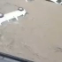 7月19日郑州大雨淹水汽车都浮到水面自然灾害