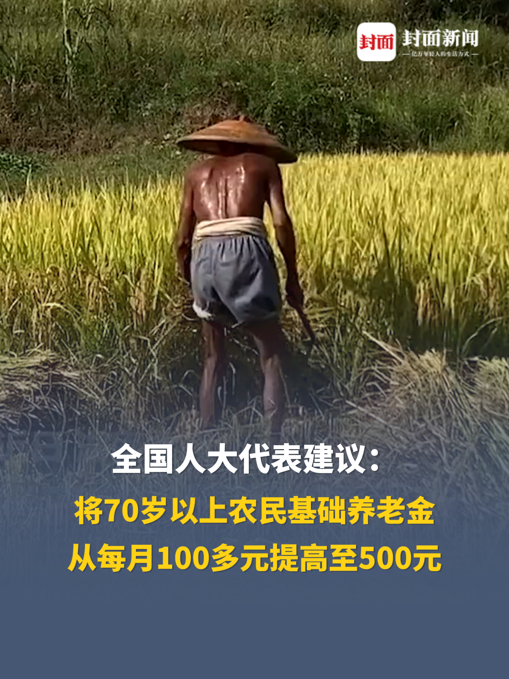 全国人大代表建议：将70岁以上农民基础养老金，从每月100多元提高至500元。