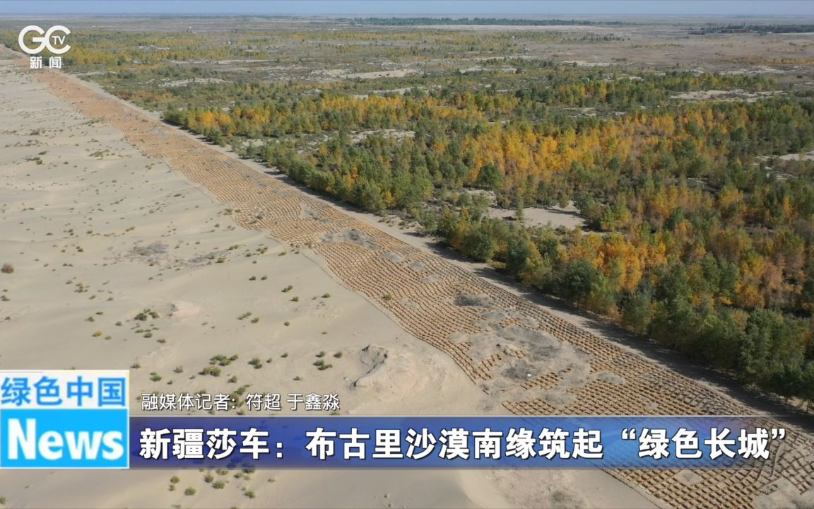 新疆莎车：布古里沙漠南缘筑起“绿色长城”