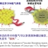 20220402-中国科学院陈学思-聚氨基酸纳米药物载体材料