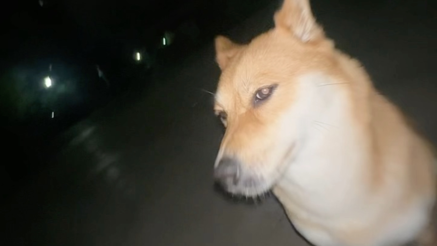 误闯天家
