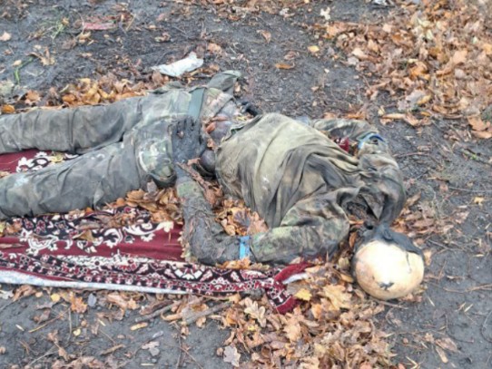 尸体曝尸荒野几个月，直至化为枯骨！俄军在库尔斯克伏击乌军装甲小队，乌军士兵尸体无人收尸，任其腐败。俄军攻克乌军阵地，击毙大量乌军士兵。俄乌残酷巷战、堑壕战纪实。