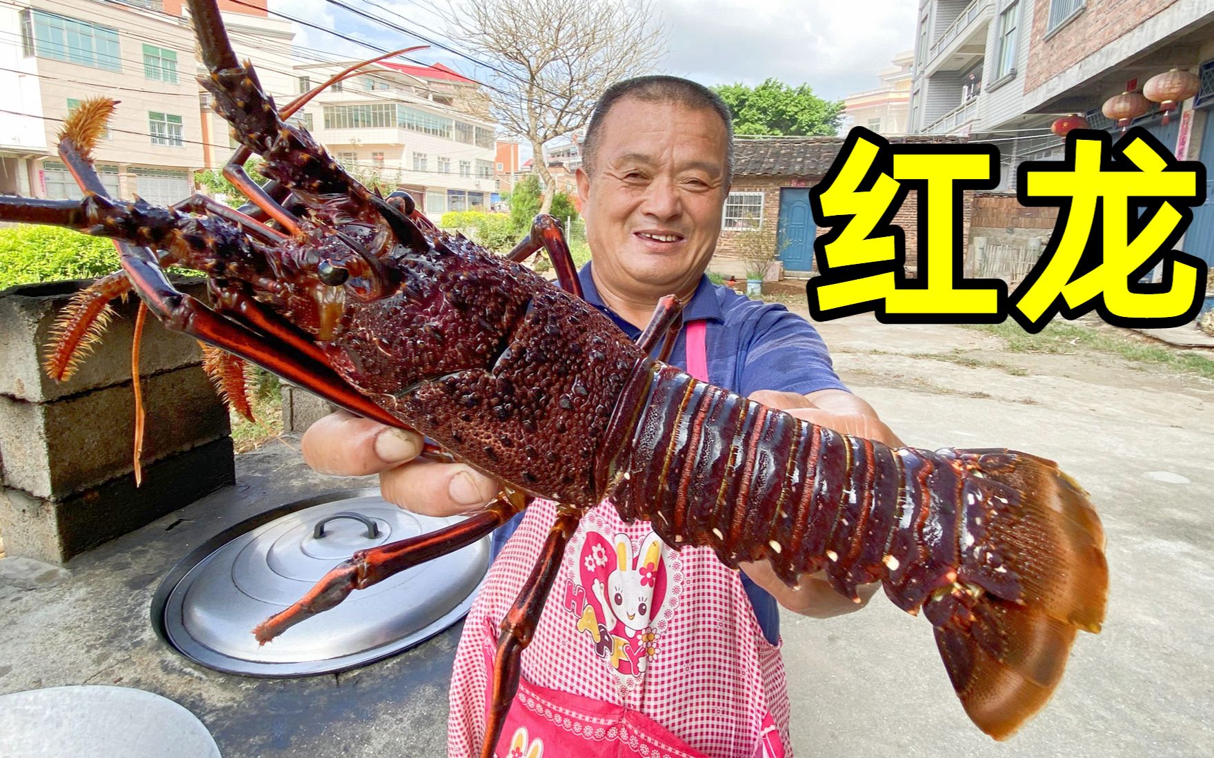 1550买3条“红龙”，碳烤肉质Q弹鲜美，从没吃过这么好吃的龙虾