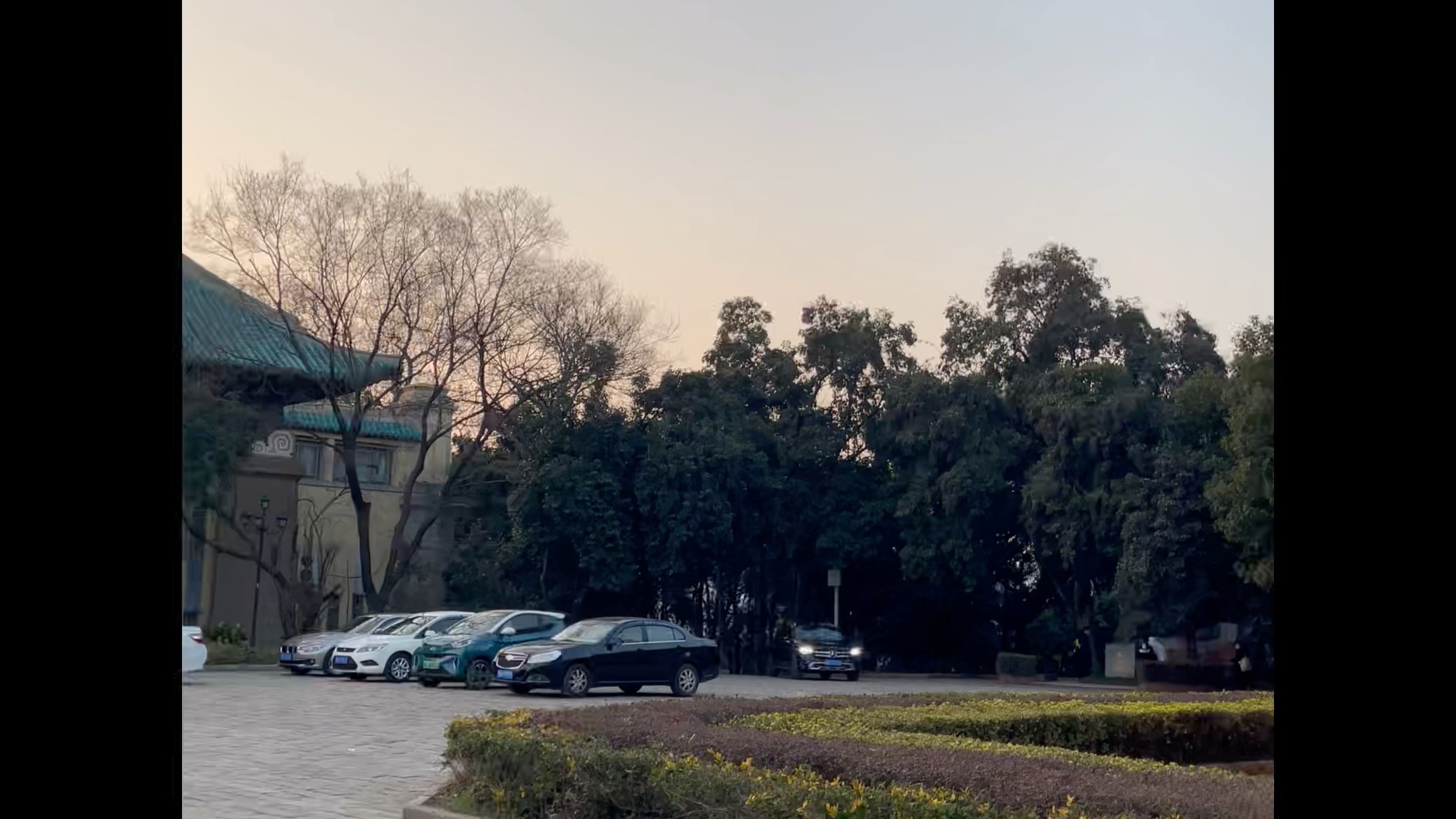 夕阳下的武汉大学校园。2024-1-25