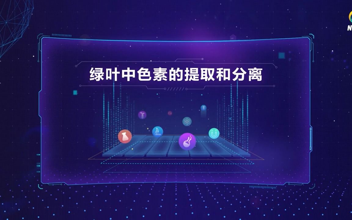 【实验视频】绿叶中色素的提取和分离