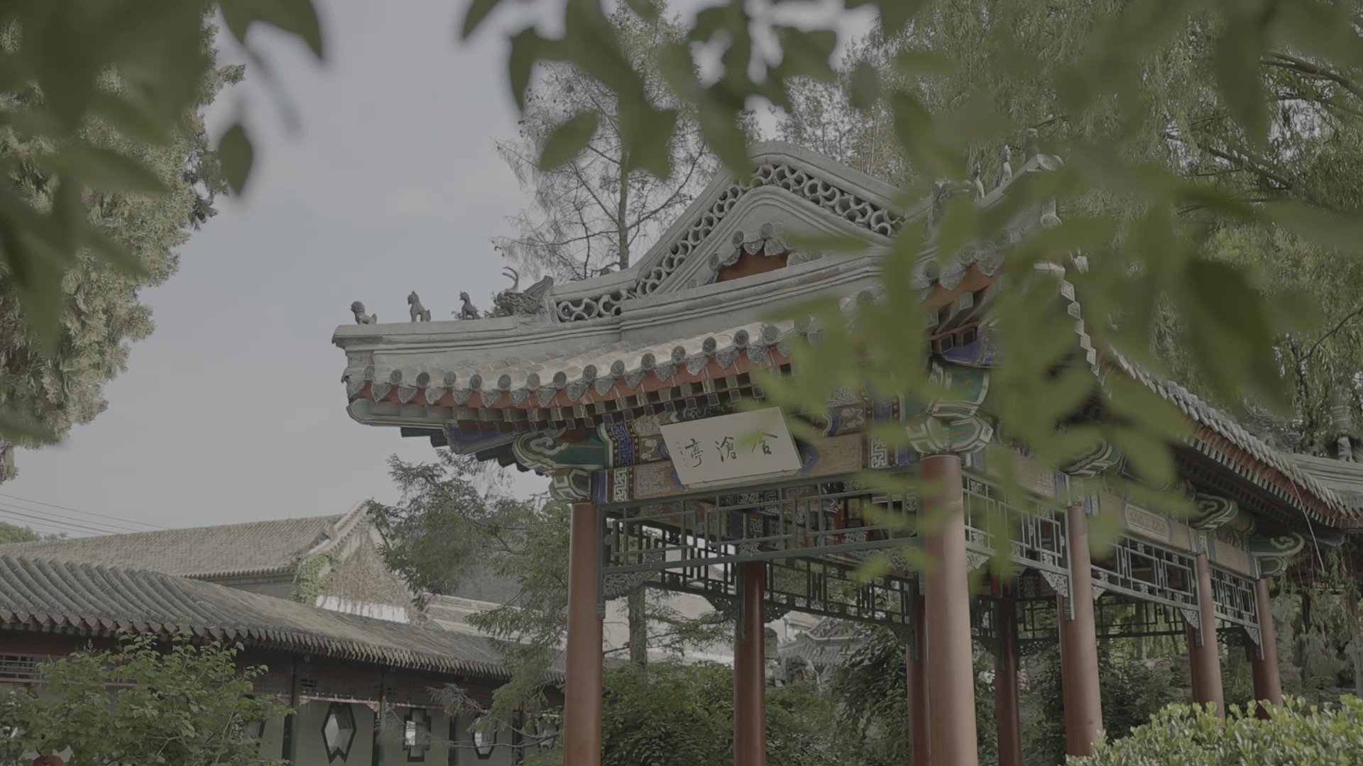 达芬奇调色练习素材分享 272