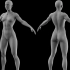 zbrush新手教程：女人体模型雕刻练习-五官、结构比例详解！