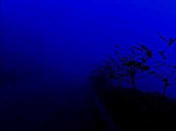 【眩晕核|dazecore】微醺的蓝夜