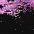 c1025浪漫樱花动感舞蹈灯光秀LED大屏幕高清背景视频素材 包素材网