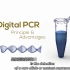 三分钟读懂数字PCR