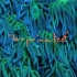 Animal Collective - Tangerine Reef【视觉专辑】