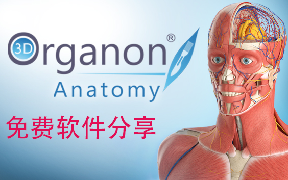 3D Organon Anatomy——三维解剖软件【永久免费版本】