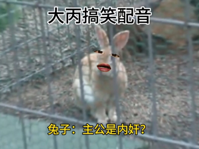 兔子：主公是内奸？