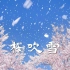 【日本巡礼】【4K高清】 桜吹雪