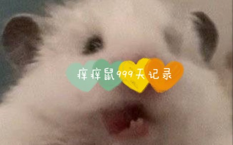 【阴阳师】999天成就+【sp未收录】打卡哔哩哔哩bilibili