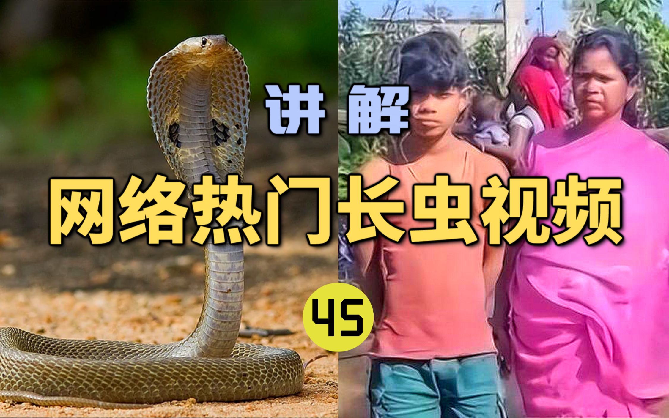  41 bilibili B YIUIOS 