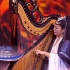 国宝级箜篌演奏家鲁璐演绎《如寄》 登台CCTV音乐节目