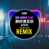 刚好遇见你 (越南鼓DJ抖音版