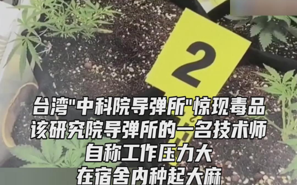 因工作压力大，台湾“中科院导弹所”技术员在寝室种起了大麻