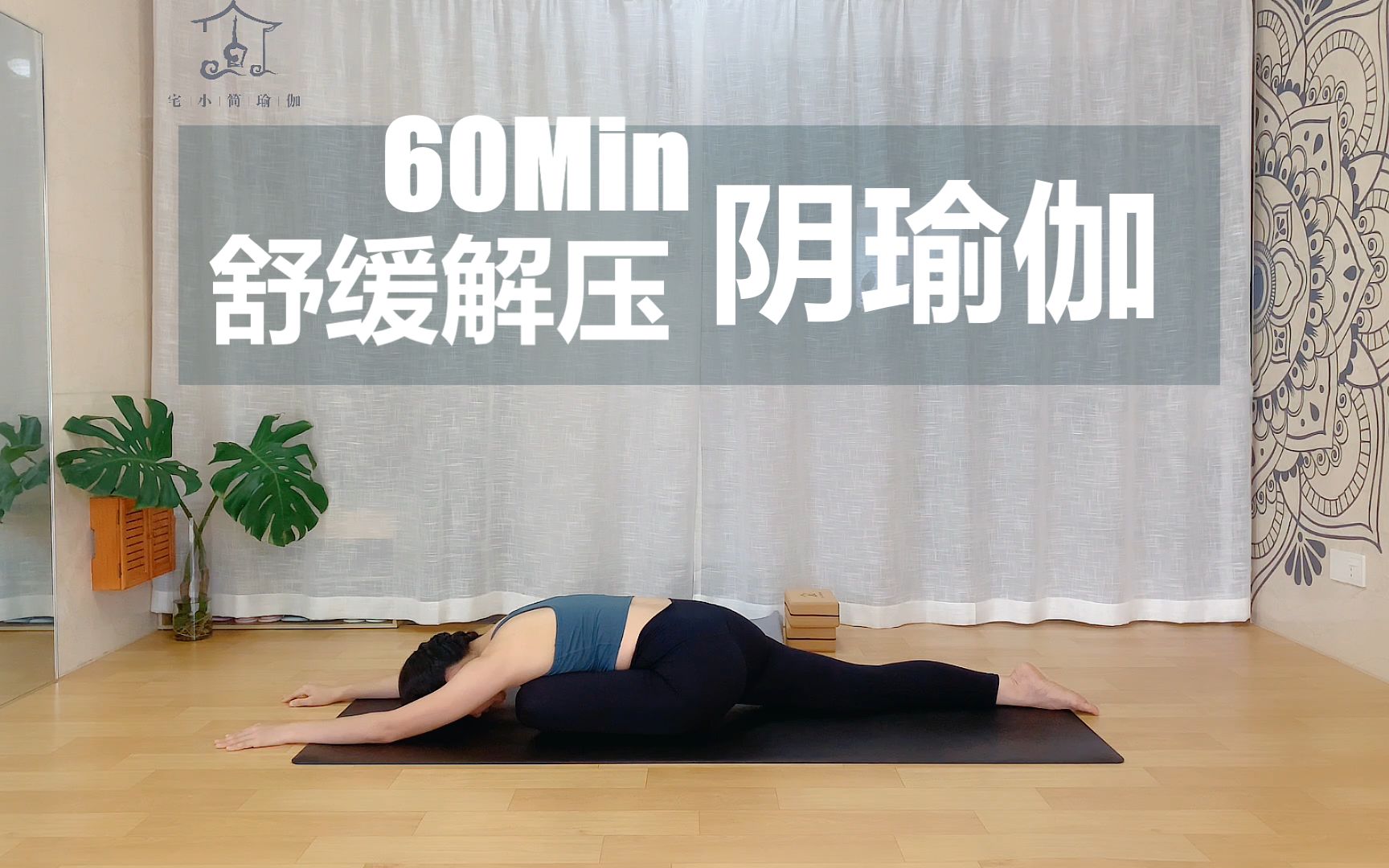 【60分钟阴瑜伽】舒筋活络、促进血液循环，缓解压力、释放负面情绪