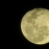 萌新望远镜观月实拍
