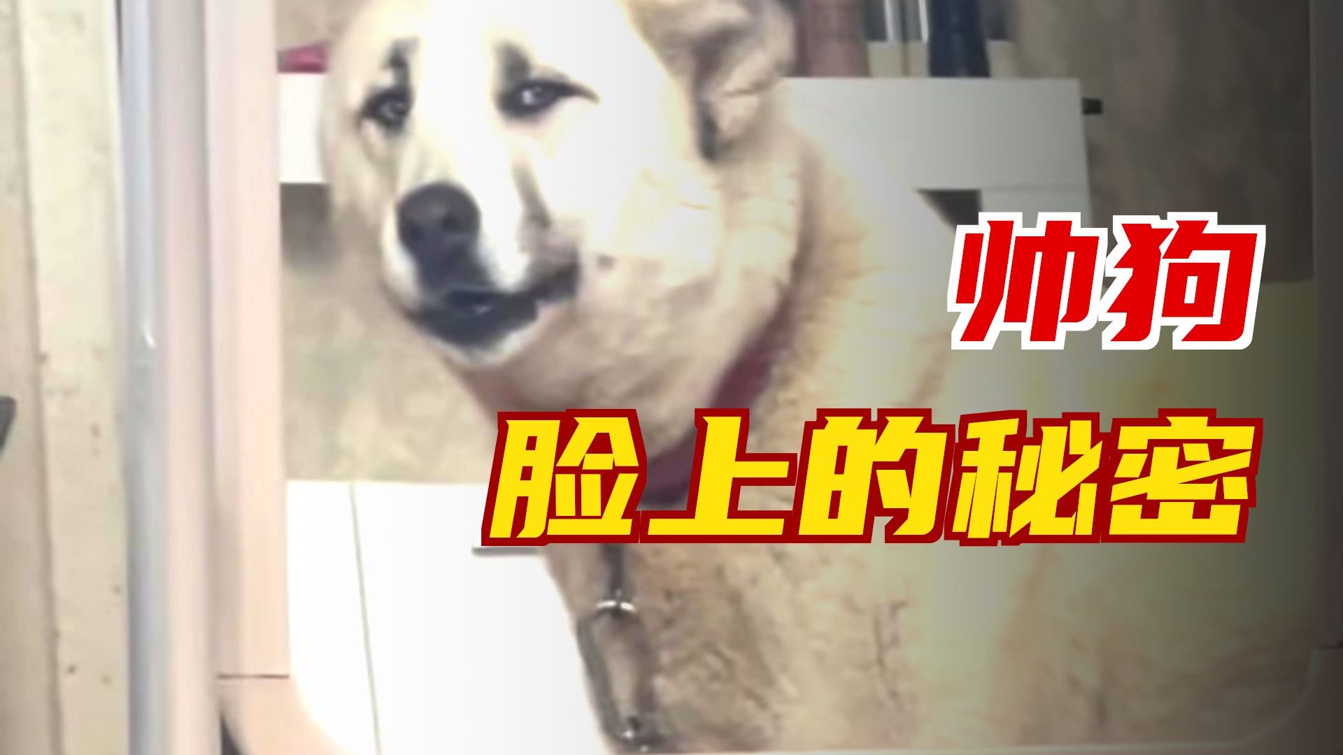 镜子是不会说谎的