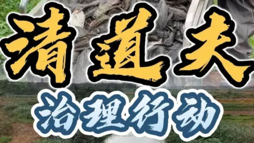 大表哥广东清道夫治理行动，据说清道夫晒干了还能活，网传还是美食天花板？